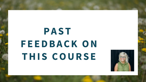Past participant feedback on this course